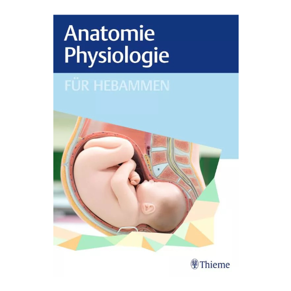 Anatomie und Physiologie für Hebammen