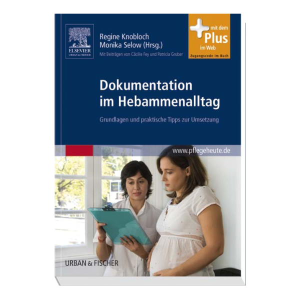 Coverbild "Dokumentation im Hebammenalltag" mit einer schwangeren Frau, die beraten wird.