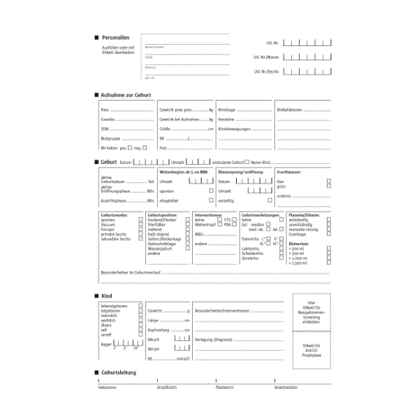 Musterblatt aus dem Geburtenbuch. Es gibt Ausfülloptionen für die Personalien, die Geburt und das Kind.
