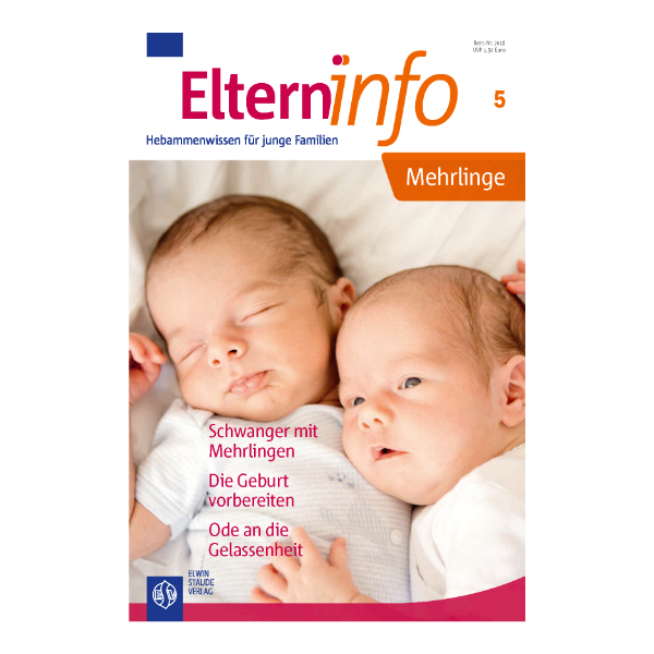 Elterninfo Cover "Mehrlinge" auf dem Zwillinge abgebildet sind.