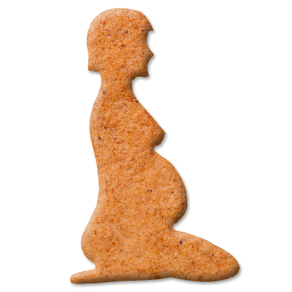 Ein ausgestochener Keks, der wie eine schwangere Frau aussieht.