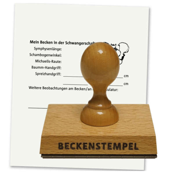 Beckenstempel von vorne mit der Aufschrift "Beckenstempel" und dahinter ein Blatt auf dem wichtige Daten und Beobachtungen am Becken eingetragen werden können.