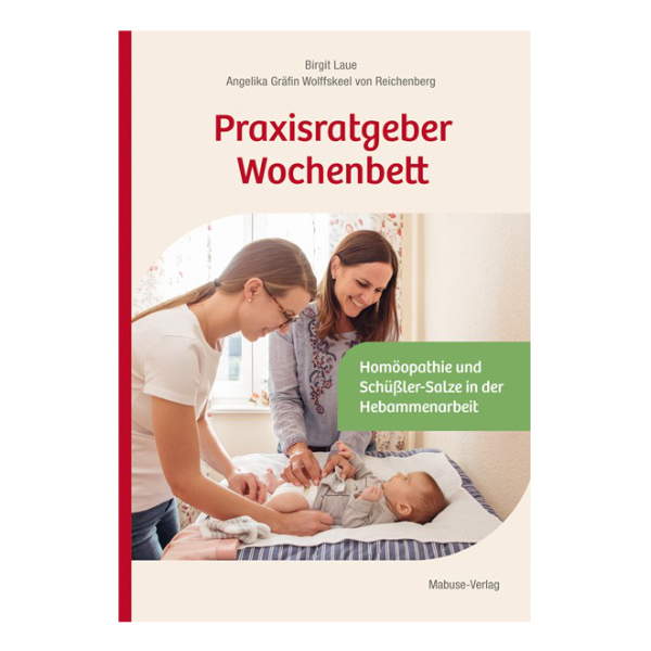 Cover "Praxisratgeber Wochenbett" mit einer Mutter und einer Hebamme, die ein Baby wickeln.